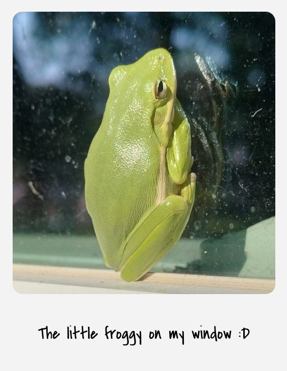 A Frog, just because